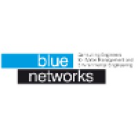 Blue Networks Logo