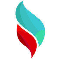Brisklights Technologies Private Limited Logo