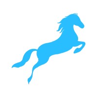 Blue Horse Digital Marketing Logo