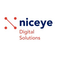 NicEye IT Consulting Logo