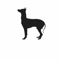 Black Xolo Films Logo