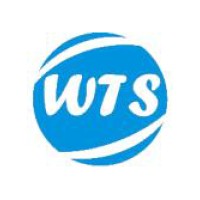 Wisdom Tech Services Logo
