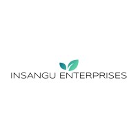 INSANGU ENTERPRISES Logo