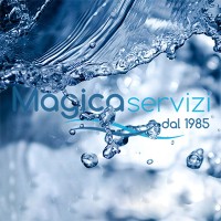 Magica Servizi Logo