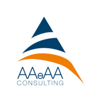 AAeAA Consulting srl Logo