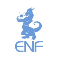 ENF Ltd. Logo