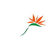 island-care.com Logo