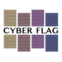 CYBER FLAG, LLC Logo
