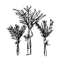 Pacific Environments Logo