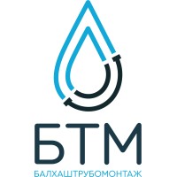 BTM LLC Logo