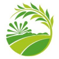 Curb Appeal Lawns & More LLC Logo