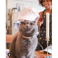 Happy Creative Dig Logo