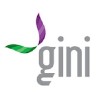 Gini Centre for Applied Sciences in Emerging Technologies Logo