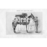 Horses & Mules Logo