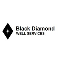 Black Diamond Well Services Pte Ltd Logo