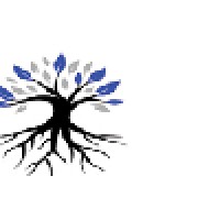 Synthetic Development LLC Logo