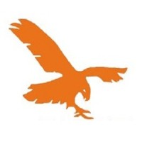 Peregrine Accountants & Business Services Logo