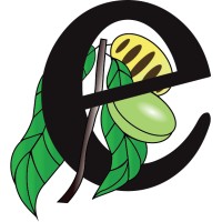 expatalachians Logo