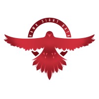 Hawk Sight Data Logo