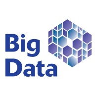 Big Data Logo
