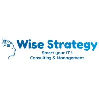 Wise Strategy Logo