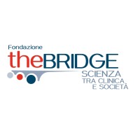 Fondazione The Bridge Logo