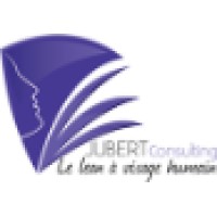 JUBERT CONSULTING SAS Logo
