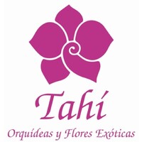 Tahí Orquídeas y Flores Exóticas Logo