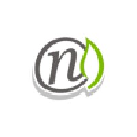 Netico GmbH Logo