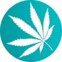 DaMaWish大麻味试 Logo