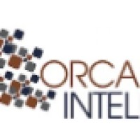 Orca Intelligence Logo