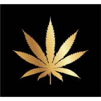 HempVest Africa(Pty)Ltd Logo