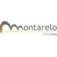 Montarelo Consulting Logo
