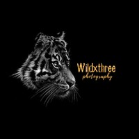 Wildxthree Photography Logo