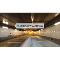 BirdView Mapping Logo