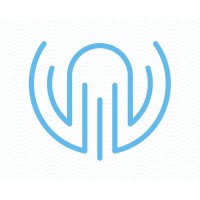 Octopus International Business Services Ltd Logo