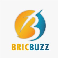Bricbuzz Solutions Logo