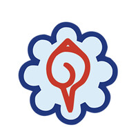 The Association of Chartered Accountants of Nepal - ACAN Logo