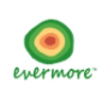 Evermore Logo