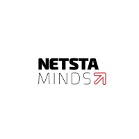NetSta Minds Pvt Ltd Logo