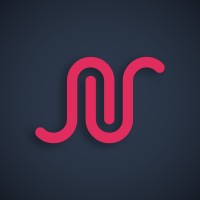 Social Network Solutions Logo