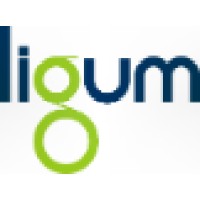 Ligum North America Logo