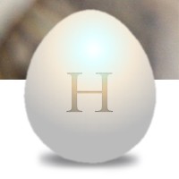 Hatch Creations Ltd Logo