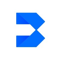 Biginsight Logo