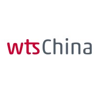 WTS China Logo