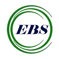 Enhanced Business Solutions Limited Logo