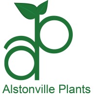 Alstonville Plants Pty Ltd Logo