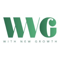 WNG Consulting Logo