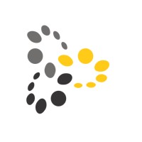 DataRitz Technologies Logo