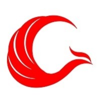Phoenix Aerospace Components, Inc. Logo